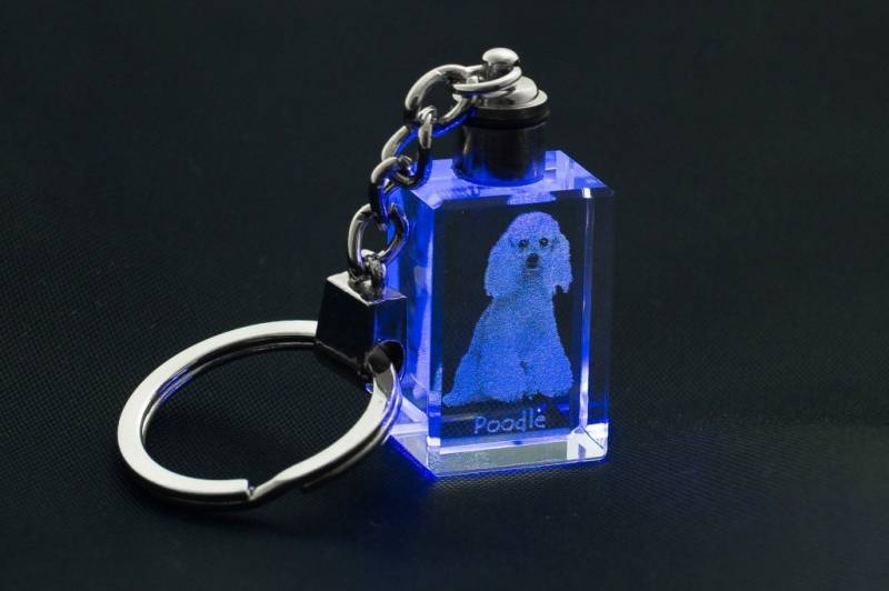 Pudel, Hund Kristall Schlüsselbund, Hohe Qualität, Außergewöhnliche Geschenk von ARTDOGshop