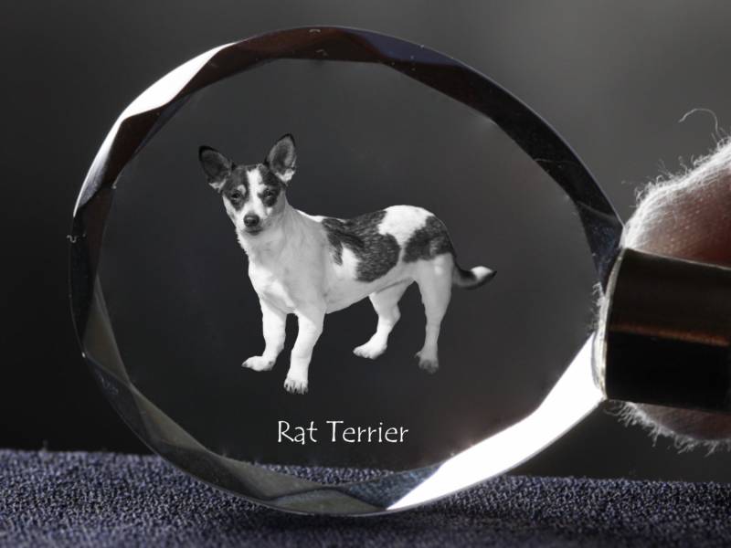 Rat Terrier , Hund Kristall Schlüsselbund, Hohe Qualität, Außergewöhnliche Geschenk von ARTDOGshop
