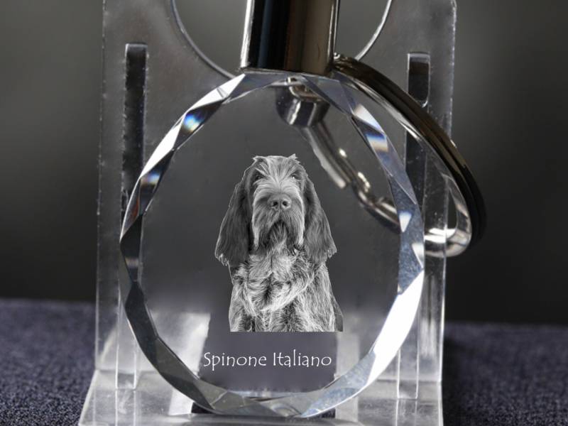 Spinone Italiano , Hund Kristall Schlüsselbund, Hohe Qualität, Außergewöhnliche Geschenk von ARTDOGshop