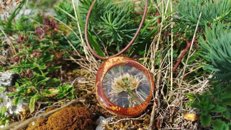 Holzschmuck Weißklee | Kräuteramulett Halskette Buche Epoxidharz Unikat von ARTISTREEartsncrafts
