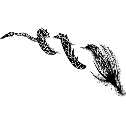 ARYU 4 StüCk „Winding Dragon“ KräUter-Tattoo-Aufkleber, Wasserfest, Abriebfest, Semi-Permanent, FüR MäNner Und Frauen, Nicht Reflektierend von ARYU