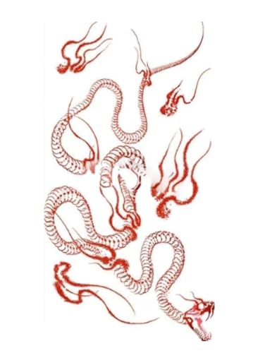 ARYU Wasserdichte Tattoo-Aufkleber FüR MäNner Und Frauen Mit Schlangenskelett Personalisierte Flamme In Der Dunklen Abteilung von ARYU