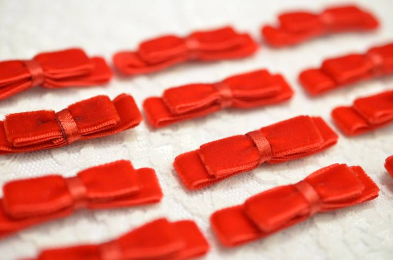 12 Stück Handgemachte SamtschleifeRot | Vt20 von ASECUSA