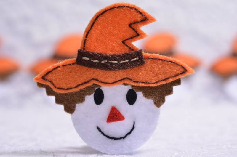 6 Stück Handgemachte FilzschalKürbis | Ft957 von ASECUSA