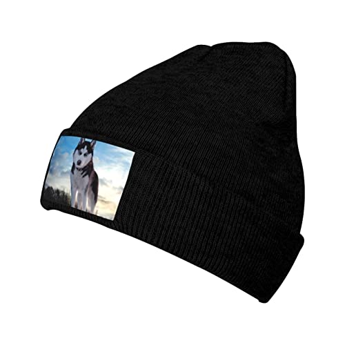 ASEELO Husky Dogs Winter Knit Beanie Mütze für Damen Herren Ski Skull Cap für Wandern Radfahren Camping Joggen Schwarz, Schwarz , One size von ASEELO