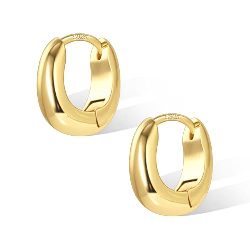 ASH'S CHOICE Creolen Gold Kleine Ohrringe Damen, 14 Karat Vergoldet Silber 925 Huggie Creolen 16mm x 13mm, 6mm Dick, 6,5g/0,23oz pro Paar, Ideal für Alltagsoutfits und Geschenke von ASH'S CHOICE