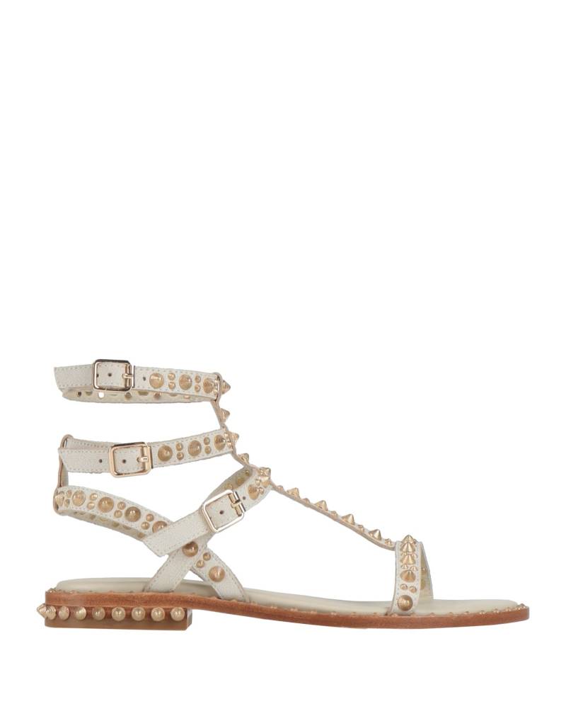 ASH Sandale Damen Off white von ASH