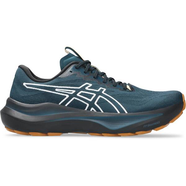 ASICS Herren Laufschuhe GT-2000 14 TR von ASICS