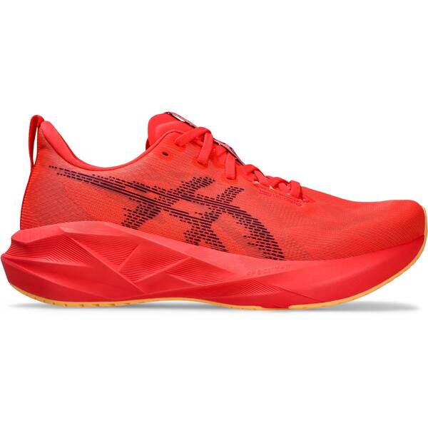 ASICS Herren Laufschuhe NOVABLAST 5 ASICS Herren Laufschuhe NOVABLAST 5 von ASICS