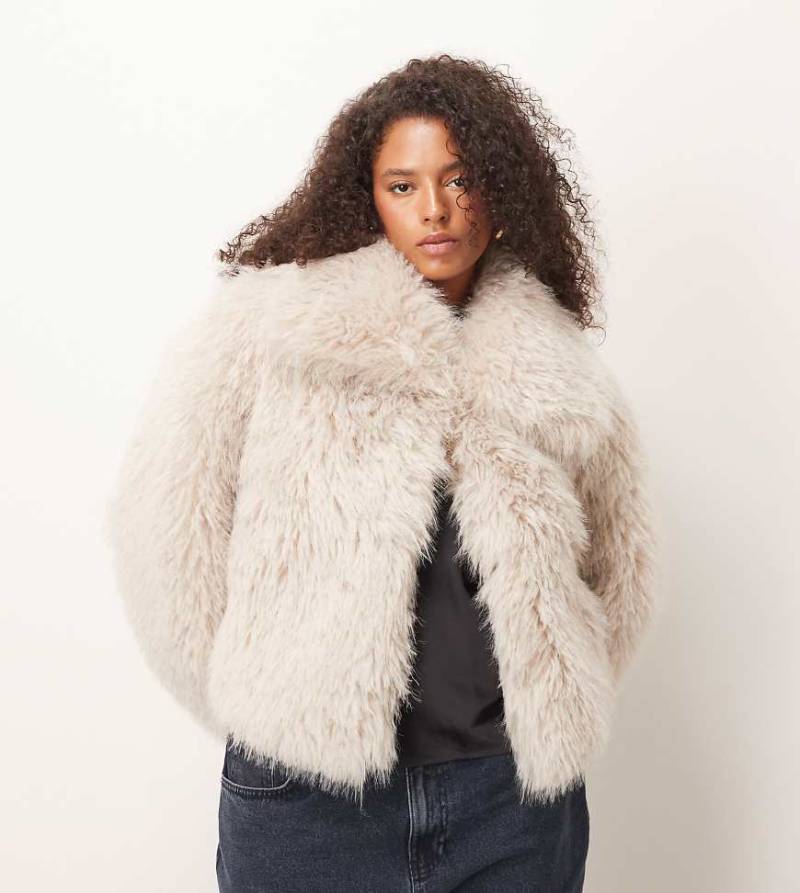 ASOS DESIGN Curve - Cropped-Jacke aus Kunstpelz in Creme-Weiß von ASOS Curve
