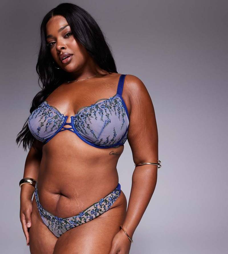 ASOS DESIGN Curve - Noa - Hochwertiger Tanga in Marineblau mit floraler Stickerei von ASOS Curve