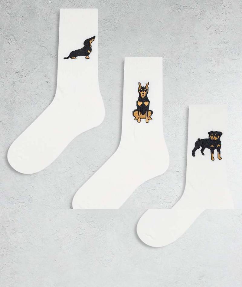 ASOS DESIGN - 3er-Pack Socken in Weiß mit Hunde-Motiv von ASOS DESIGN