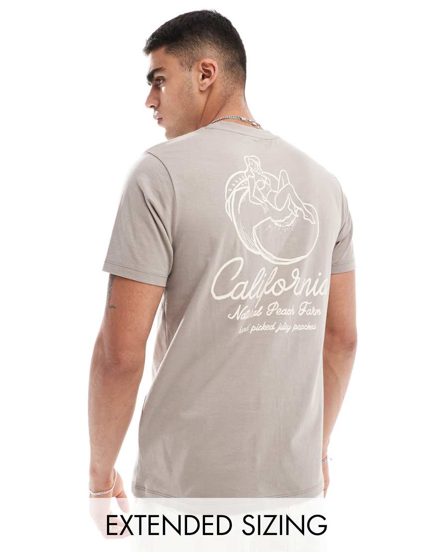 ASOS DESIGN - T-Shirt in Asche mit „California"-Rückenprint-Braun von ASOS DESIGN