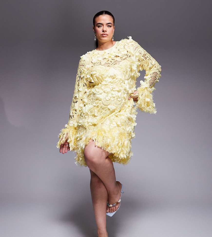 ASOS LUXE Curve - Minikleid mit Lochmuster in Buttermilch mit 3D-Blumenverzierung und Kunstfederbesatz-Gelb ASOS LUXE Curve - Minikleid mit Lochmuster in Buttermilch mit 3D-Blumenverzierung und Kunstfederbesatz-Gelb von ASOS LUXE