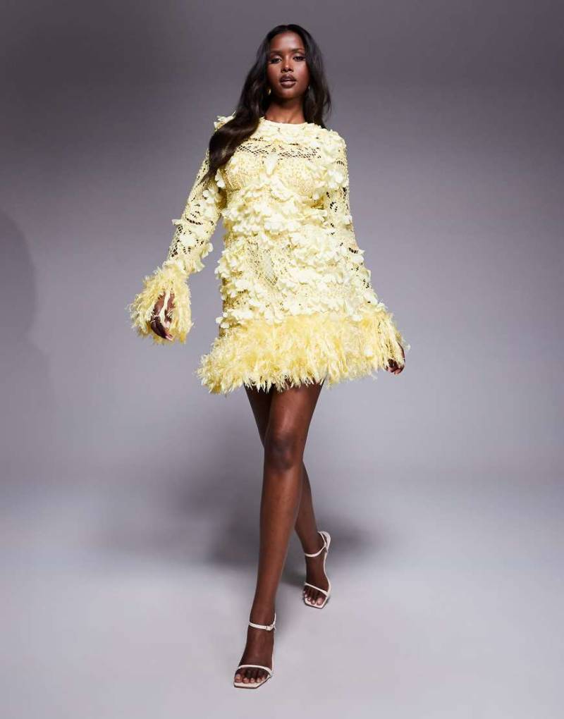 ASOS LUXE - Minikleid mit Lochmuster in Buttermilch mit 3D-Blumenverzierung und Kunstfederbesatz-Gelb von ASOS LUXE