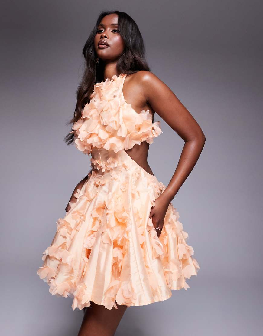 ASOS LUXE - Mini-Skater-Kleid in Apricot mit floralen 3D-Details und Neckholder-Orange von ASOS Luxe