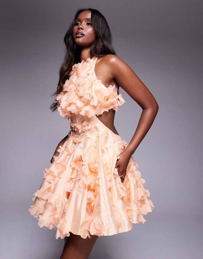 ASOS LUXE - Mini-Skater-Kleid in Apricot mit floralen 3D-Details und Neckholder-Orange von ASOS Luxe