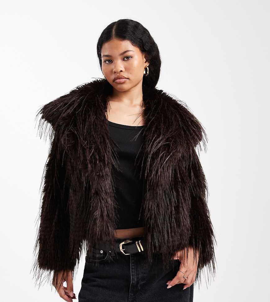 ASOS DESIGN Petite - Kurze Jacke aus fedrigem Kunstpelz in Schokobraun-Brown ASOS DESIGN Petite - Kurze Jacke aus fedrigem Kunstpelz in Schokobraun-Brown von ASOS Petite