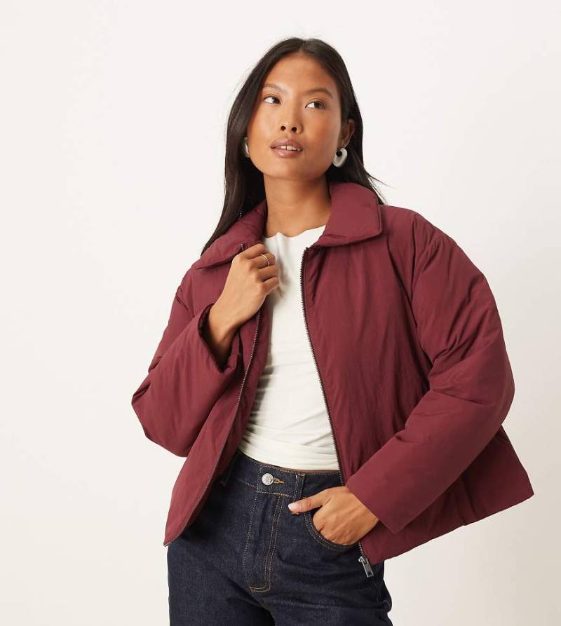 ASOS DESIGN Petite - Pufferjacke in Burgunderrot mit Kragen-Lila von ASOS Petite