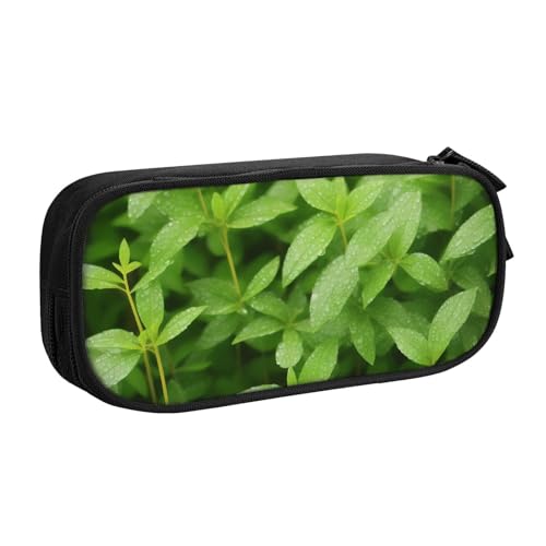 ASPOIJHN Federmäppchen mit großem Fassungsvermögen, doppellagig, Schreibwaren, Aufbewahrungstasche, tragbarer Stift-Organizer für Schule, Bürobedarf, Blatt mit Regen, Einheitsgröße, Krawattenetui von ASPOIJHN