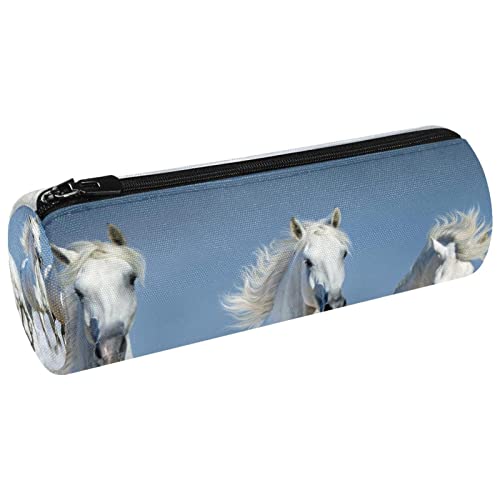 ATOurDealss Federmäppchen, Stifteetui, einfache Schreibwaren-Tasche, 20 cm, Mehrfarbig10, Einheitsgröße, Federmäppchen von ATOurDealss