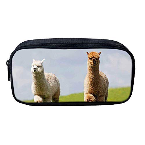 ATOurDealss Federmäppchen mit 3D-Dinosaurier-Druck, für Jungen, grünes Segeltuch, für Kinder, Schreibwaren, Stifteetui, Münzbeutel, Alpaka, Einheitsgröße, Federmäppchen von ATOurDealss