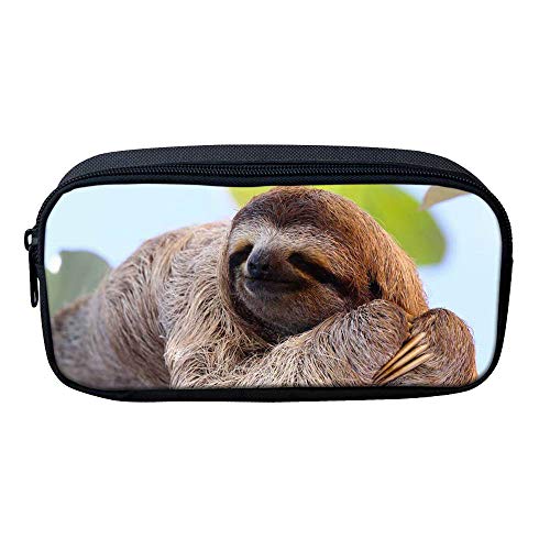 ATOurDealss Federmäppchen mit 3D-Dinosaurier-Druck, für Jungen, grünes Segeltuch, für Kinder, Schreibwaren, Stifteetui, Münzbeutel, Faultier, Einheitsgröße, Federmäppchen von ATOurDealss