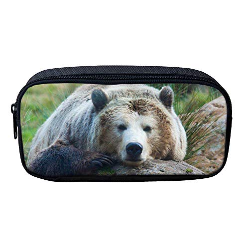 ATOurDealss Federmäppchen mit 3D-Dinosaurier-Druck, für Jungen, grünes Segeltuch, für Kinder, Schreibwaren, Stifteetui, Münzbeutel, bär, Einheitsgröße, Federmäppchen von ATOurDealss