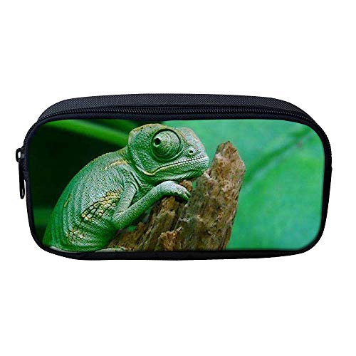 ATOurDealss Federmäppchen mit 3D-Dinosaurier-Druck, für Jungen, grünes Segeltuch, für Kinder, Schreibwaren, Stifteetui, Münzbeutel, chameleon, Einheitsgröße, Federmäppchen von ATOurDealss
