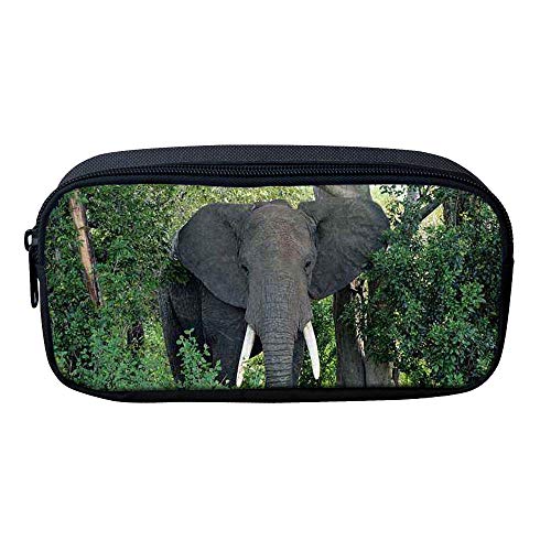 ATOurDealss Federmäppchen mit 3D-Dinosaurier-Druck, für Jungen, grünes Segeltuch, für Kinder, Schreibwaren, Stifteetui, Münzbeutel, elefant, Einheitsgröße, Federmäppchen von ATOurDealss