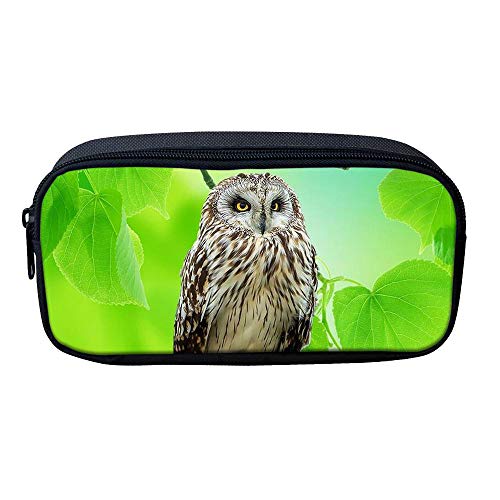 ATOurDealss Federmäppchen mit 3D-Dinosaurier-Druck, für Jungen, grünes Segeltuch, für Kinder, Schreibwaren, Stifteetui, Münzbeutel, eule, Einheitsgröße, Federmäppchen von ATOurDealss