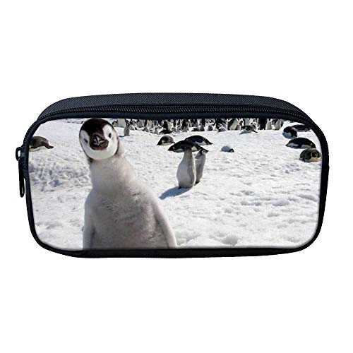 ATOurDealss Federmäppchen mit 3D-Dinosaurier-Druck, für Jungen, grünes Segeltuch, für Kinder, Schreibwaren, Stifteetui, Münzbeutel, pinguin, Einheitsgröße, Federmäppchen von ATOurDealss