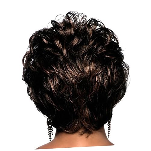 AUTSUPPL Perücke Braun Lang Damen Perücke Schwarz Damen Lang Haarperücke Mode Lockenperücke Haarbedeckung Stilvolle Haar-accessoires Für Party von AUTSUPPL