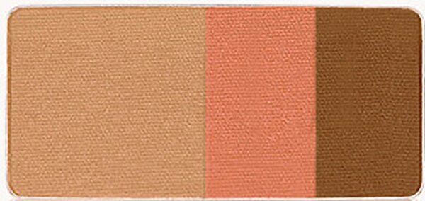 Aveda Petal Essence Eye Color Trios 2,5 g 972/Copper Haze von AVEDA