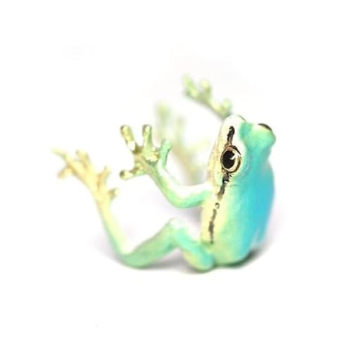 AVKGCZ Froschform Ringe Verstellbare Größe Finger Accessoire Personalisiert Offener Stilvoller Schmuck Für Tägliche Kleidung Hoher Polnischer Komfort Pass AVKGCZ Froschform Ringe Verstellbare Größe Finger Accessoire Personalisiert Offener Stilvoller Schmuck Für Tägliche Kleidung Hoher Polnischer Komfort Pass von AVKGCZ