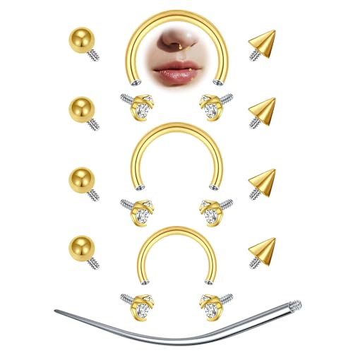 AVYRING 12 Stück Septum Piercing 16G Surgical Steel Hufeisen Nasenring mit Piercing Kugel & Einführhilfe für Damen Herren CZ Lippenpiercing Daith Helix Rook Piercing Schmuck, Gold von AVYRING