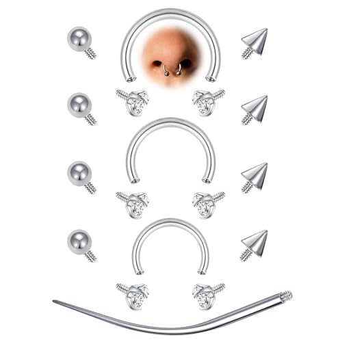 AVYRING 12 Stück Septum Piercing 16G Surgical Steel Hufeisen Nasenring mit Piercing Kugel & Einführhilfe für Damen Herren CZ Lippenpiercing Daith Helix Rook Piercing Schmuck, Silber von AVYRING