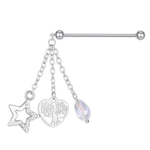 AVYRING 14G Industrial Piercing Bar Stab 38MM für Damen Herren Chirurgenstahl Anhänger Mix Stile Lange Knorpel Ohrpiercing Helix Ring Silber von AVYRING