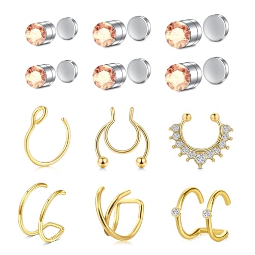 AVYRING Fake Nasenring Gold Nasenstecker Non Piercend Magnetischer Nasenring Septum Lippen- und Ohrringe Edelstahl Falsche Nasenreifen für Nasenpiercing Schmuck für Frauen Männer von AVYRING