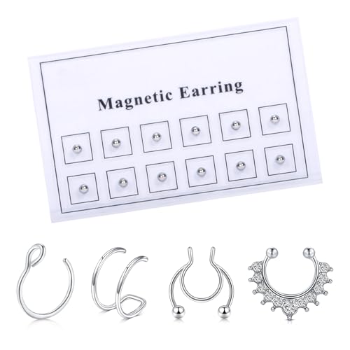 AVYRING Falsche Nasenringe Nicht-Piercende Magnetische Nasenstecker für Frauen, Edelstahl Magnetische Ohrringe für Männer Falsches Nasen Lip Ohr Septum Piercing Schmuck mit Silber Nasenstecker von AVYRING