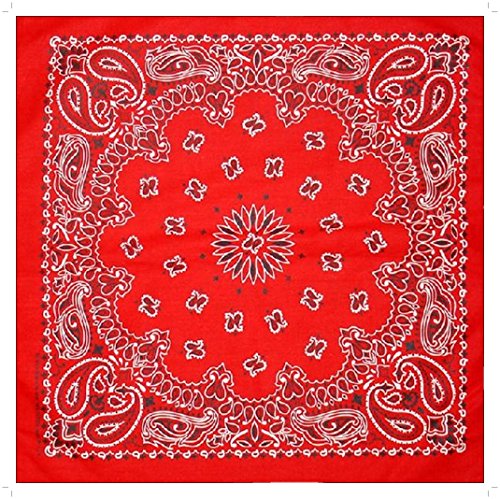 AW-Collection Rot Paisley Bandana - Original Made in USA, Biker, Motorrad, Country Line Dance von AW-Collection