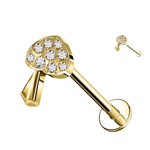 AWAKEN Labret-Piercing aus pilzförmigem Titan mit Kristallen und Innengewinde. Helix Hoops Daith Tragus Tragus Rook Conch Knorpelohrring Damen PWC-054 Gold mit Transparent AWAKEN Labret-Piercing aus pilzförmigem Titan mit Kristallen und Innengewinde. Helix Hoops Daith Tragus Tragus Rook Conch Knorpelohrring Damen PWC-054 Gold mit Transparent von AWAKEN