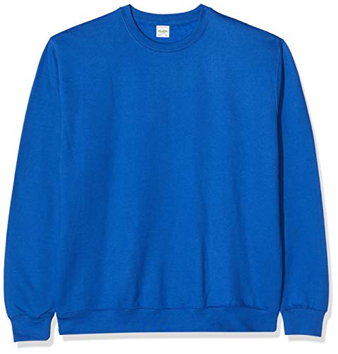 AWDis Herren Sweat Sweatshirt, Blau (ROYAL Blue Roy), XXL von AWDis