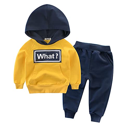 Jungen 2tlg Jogginganzug Dinosaurier Kleidung Kapuzen Sweatshirt Baumwoll Sportanzüge Kinder Jungen Langarm Hoodies Shirt Lange Hosen Trainingsanzug Kinder Kapuzenpullover Anzug von AXZDTH