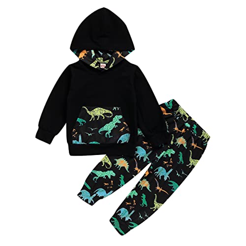 Jungen 2tlg Jogginganzug Dinosaurier Kleidung Kapuzen Sweatshirt Baumwoll Sportanzüge Kinder Jungen Langarm Hoodies Shirt Lange Hosen Trainingsanzug Kinder Kapuzenpullover Anzug von AXZDTH