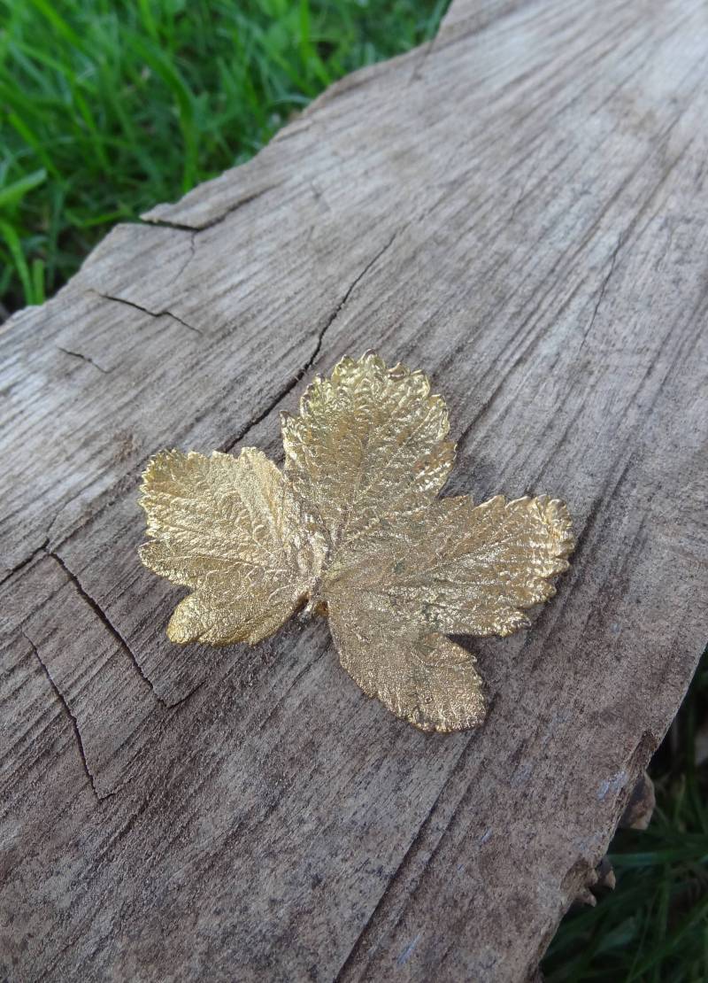 Goldfarbenes Herbstblatt von AYALELI