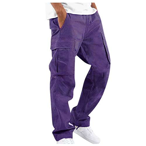 AYAZER Outdoorhose Herren, Jogginghose Baumwolle Cargo Jogger Joggers Male Lauschig Lässige Herbst Zip Straight Date Schlicht Leich Joggers Herren Trachtenlang Dünne mit Schlitz Gemütlich Lila S von AYAZER