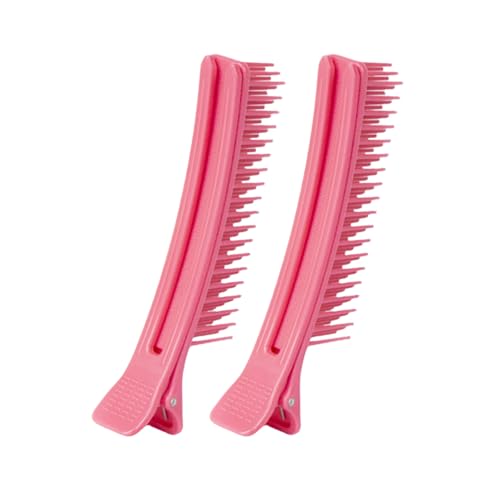 2 Stück Haarteilklammern Haarnadeln Friseurklammern Multifunktionale Haarspangen Für Frauen Und Mädchen Salon Heimgebrauch von AYPOHU