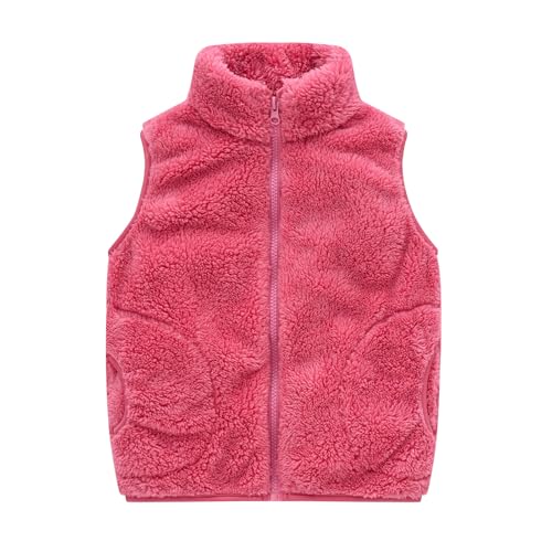 AYSDSKI Double-Sided Fleece Weste Mädchen Einfarbig Fleeceweste Autumn Winter Übergangsjacke Full Zip Plush Winterjacke Kinder Ärmellos Stehkragen Plüschjacke von AYSDSKI