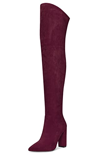 Aachcol Damen Überknie Stiefel Chunky Blockabsatz Hoher High Absatz Heel Spitze Zehenkappe Reißverschluss 10 CM Burgund Rot Wildleder 40 EU von Aachcol